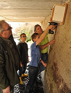 Installation d'un nichoir à cincle plongeur avec les élèves de 6e - Photo Hubert Jaeger