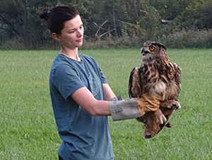 Une des soigneuses s'apprête à relâcher le grand-duc - Photo LPO Alsace