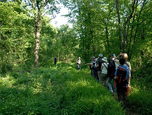 Visite de la réserve du Hardtwald - Photo Cathy Zell