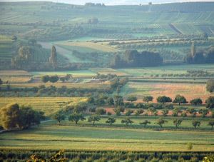 A Bruderbach (67), un exemple de trame verte fonctionnel - Photo Cathy Zell