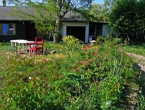 Un jardin propice aux oiseaux - Photo Cathy Zell