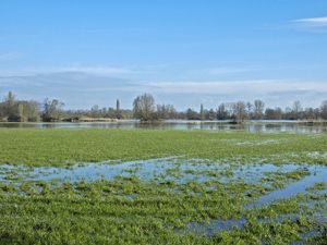 Le ried sous les inondations - Photo Nicolas Buhrel